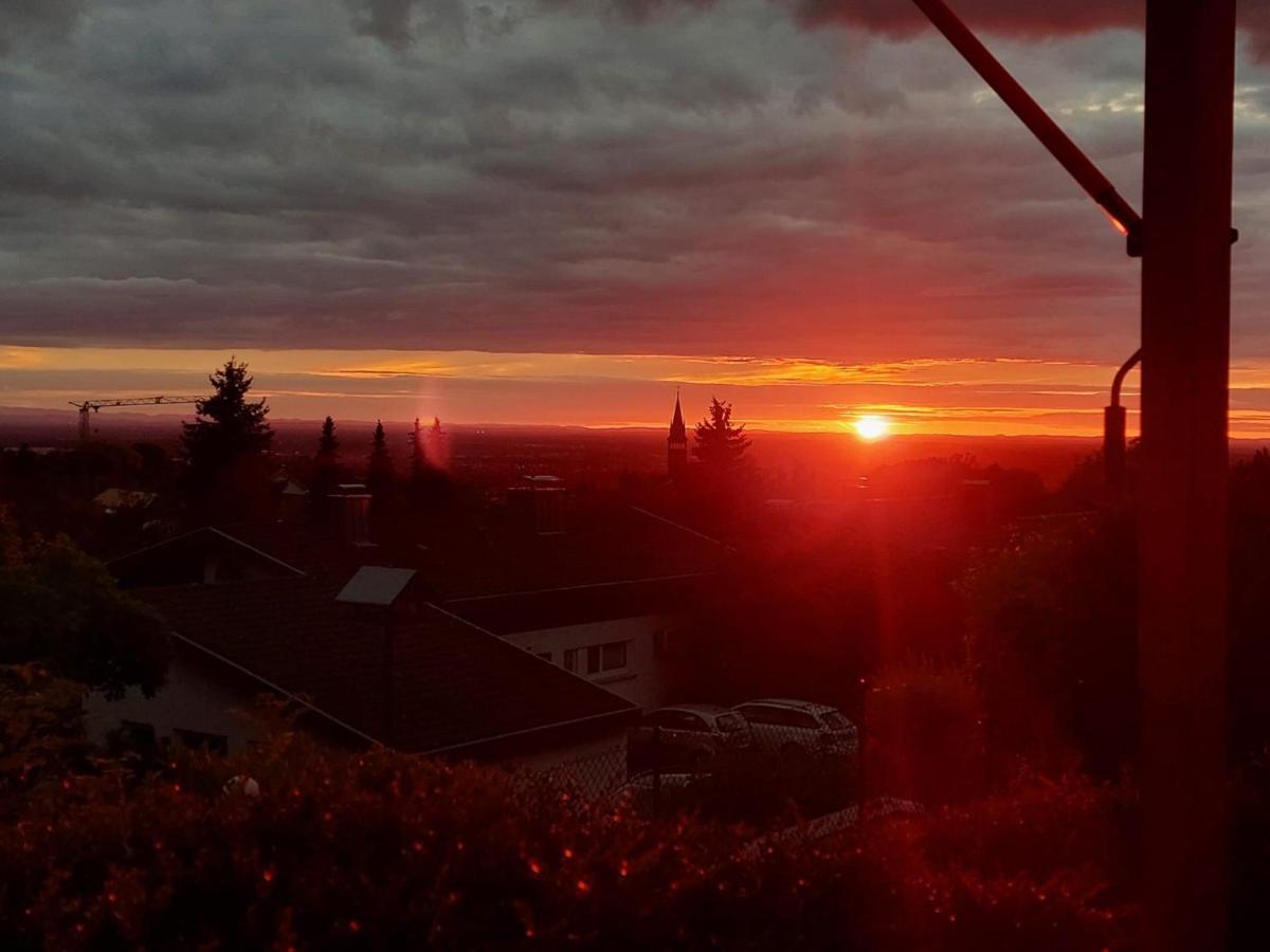 Apartement Koenig Lauf Dış mekan fotoğraf